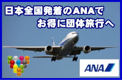 ANA（全日空）の団体航空券・お申込みの条件について